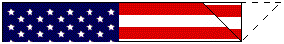 The American Flag