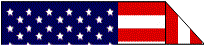 The American Flag