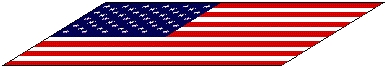 The American Flag